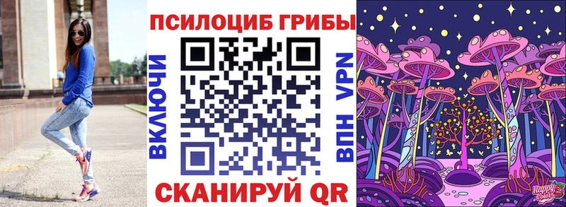 мега вход  Губкин  Галлюциногенные грибы Psilocybine cubensis 